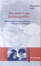 Klaus Esser, Michae Macsenaere, Michael Macsenaere - Was wirkt in der Erziehungshilfe?
