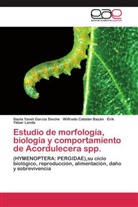 Wilfredo Catalán Bazán, Saola Yane García Sinche, Saola Yanet García Sinche, Erik Yábar Landa - Estudio de morfología, biología y comportamiento de Acordulecera spp.