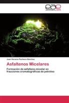 Juan Horacio Pacheco-Sánchez - Asfaltenos Micelares