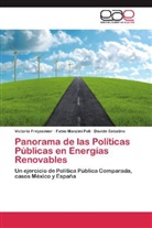 Victori Freyssinier, Victoria Freyssinier, Fabi Manzini Poli, Fabio Manzini Poli, Sabatino, Davide Sabatino - Panorama de las Políticas Públicas en Energías Renovables