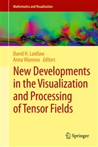 Davi H Laidlaw, David H Laidlaw, David H. Laidlaw, Vilanova, Vilanova, Anna Vilanova... - New Developments in the Visualization and Processing of Tensor Fields