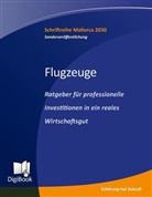 Klaus Heinemann, Willi Plattes - Flugzeuge - Ratgeber für professionelle Investitionen in ein reales Wirtschafsgut