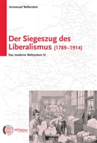 Immanuel Wallerstein - Das moderne Weltsystem I - IV, 4 Teile