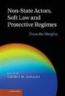 Cecilia M Bailliet, Cecilia M. Bailliet, Cecilia M. (Universitetet I Oslo) Bailliet, BAILLIET CECILIA M, Cecilia M. Bailliet, Bailliet Cecilia M. - Non-State Actors, Soft Law and Protective Regimes