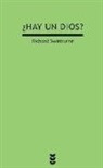 Richard Swinburne - ¿Hay un dios?