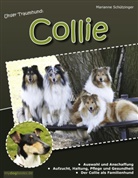 Marianne Schützinger - Unser Traumhund: Collie