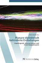Emilia Finantu-Dinu - Planare dielektrisch behinderte Entladungen
