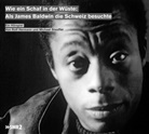Rolf Hermann, Michael Stauffer - Wie ein Schaf in der Wüste: Als James Baldwin die Schweiz besuchte, Audio-CD (Audiolibro)