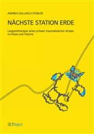 Gallasch-Stebler, Andrea Gallasch-Stebler - Nächste Station Erde