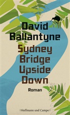 David Ballantyne - Sydney Bridge Upside Down