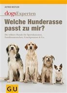 Astrid Nestler - Welche Hunderasse passt zu mir?