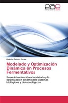 Rodolfo Gabriel Dondo - Modelado y Optimización Dinámica en Procesos Fermentativos