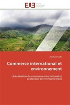 Abraham Gadji, Gadji-A - Commerce international et