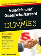 André Niedostadek - Handels- und Gesellschaftsrecht für Dummies