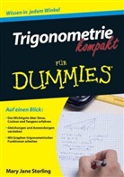 Mary J. Sterling, Mary Jane Sterling - Trigonometrie kompakt für Dummies