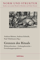Büttne, Andreas Büttner, Andreas Herausgegeben von Büttner, SCHMID, Andre Schmidt, Andrea Schmidt... - Grenzen des Rituals