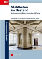 Guid Bolle, Guido Bolle, Steffe Marx, Steffen Marx, Gregor Schacht - Stahlbeton im Bestand