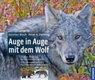 Bloc, Günthe Bloch, Günther Bloch, Dettling, Peter Dettling, Peter A Dettling... - Auge in Auge mit dem Wolf
