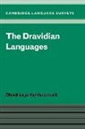 Bhadriraju Krishnamurti, Krishnamurti Bhadriraju, S. R. Anderson, J. Bresnan - The Dravidian Languages