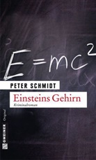 Peter Schmidt - Einsteins Gehirn