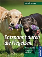 Jutta Schenten - Entspannt durch die Flegelzeit