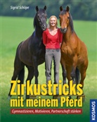Sigrid Schöpe - Zirkustricks mit meinem Pferd