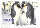 Pinguine