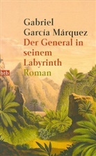 Gabriel García Márquez - Der General in seinem Labyrinth