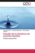 Mª Cabezas, Mª Guadalupe Cabezas, Conrad Ferrera, Conrado Ferrera, José Marí Montanero, José María Montanero - Estudio de la dinámica de puentes líquidos