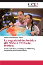 Paulino Ernesto Arellanes Jiménez - La seguridad de América del Norte a través de México:
