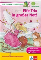 Hofhein, Diana Hofheinz, Voigt, Silke Voigt - Elfe Trix in großer Not!