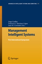 Jorge Casillas, Juan M. Corchado, Juan M. Corchado Rodríguez, Juan Manuel Corchado Rodríguez, Francisc J Martínez-López, Francisco J Martínez-López... - Management Intelligent Systems