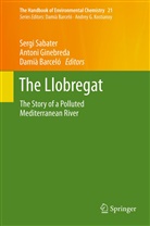 Damià Barceló, Anton Ginebreda, Antoni Ginebreda, Sergi Sabater - The Handbook of Environmental Chemistry - 21: The Llobregat