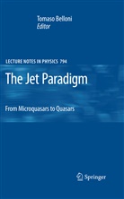 Tomas Belloni, Tomaso Belloni - The Jet Paradigm