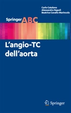 Carlo Catalano, CATALANO CARLO, Beatrice Cavallo Marincola, Beatrice Cavallo Marincola, Alessandro Napoli - L'angio-TC dell'aorta