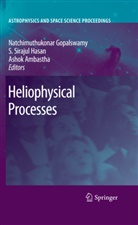 Ashok Ambastha, Natchimuthuk Gopalswamy, S. S. Hasan, S.S. Hasan, Siraj Hasan, Siraj S. Hasan... - Heliophysical Processes
