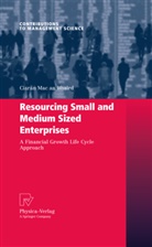 Ciarán Mac an Bhaird - Resourcing Small and Medium Sized Enterprises