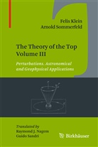 Feli Klein, Felix Klein, Arnold Sommerfeld - The Theory of the Top. Vol.3