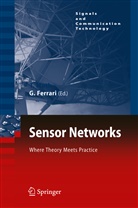 Gianluig Ferrari, Gianluigi Ferrari - Sensor Networks
