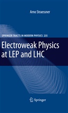 Arno Straessner - Electroweak Physics at LEP and LHC