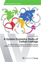 Sarah von Kaminietz, Sarah von Kaminietz - A System Dynamics Study of Carbon Leakage