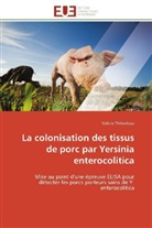 Valérie Thibodeau, Thibodeau-v - La colonisation des tissus de