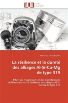 Mohamed Fawzy Ibrahim, Ibrahim-M - La re silience et la durete des