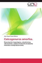 José Angel Reyes Retana - Calcogenuros amorfos.