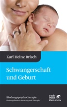 Karl H Brisch, Karl H. Brisch, Karl Heinz Brisch, Karlheinz Brisch - Schwangerschaft und Geburt (Bindungspsychotherapie)