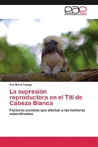 Ana María Fidalgo - La supresión reproductora en el Tití de Cabeza Blanca