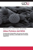 María Elen García, María Elena García, Nora J Reyes, Nora J F Reyes, Nora J. F. Reyes, Nora J.F. Reyes... - Atlas Polínico del NOA