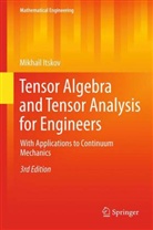 Mikhail Itskov - Tensor Algebra and Tensor Analysis for Engineers