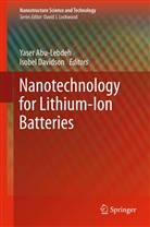 Yase Abu-Lebdeh, Yaser Abu-Lebdeh, Davidson, Davidson, Isobel Davidson - Nanotechnology for Lithium-Ion Batteries