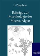 N Pringsheim, N. Pringsheim - Beiträge zur Morphologie der Meeres-Algen